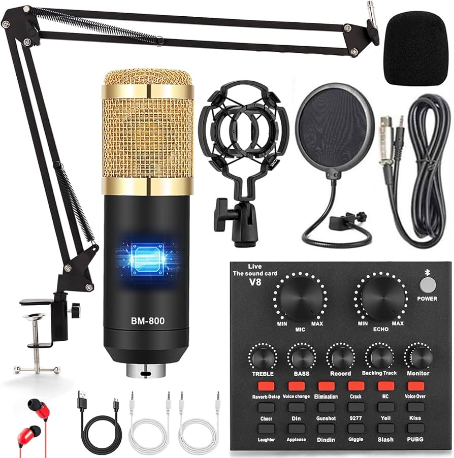 BM-800 microphone with audio interface